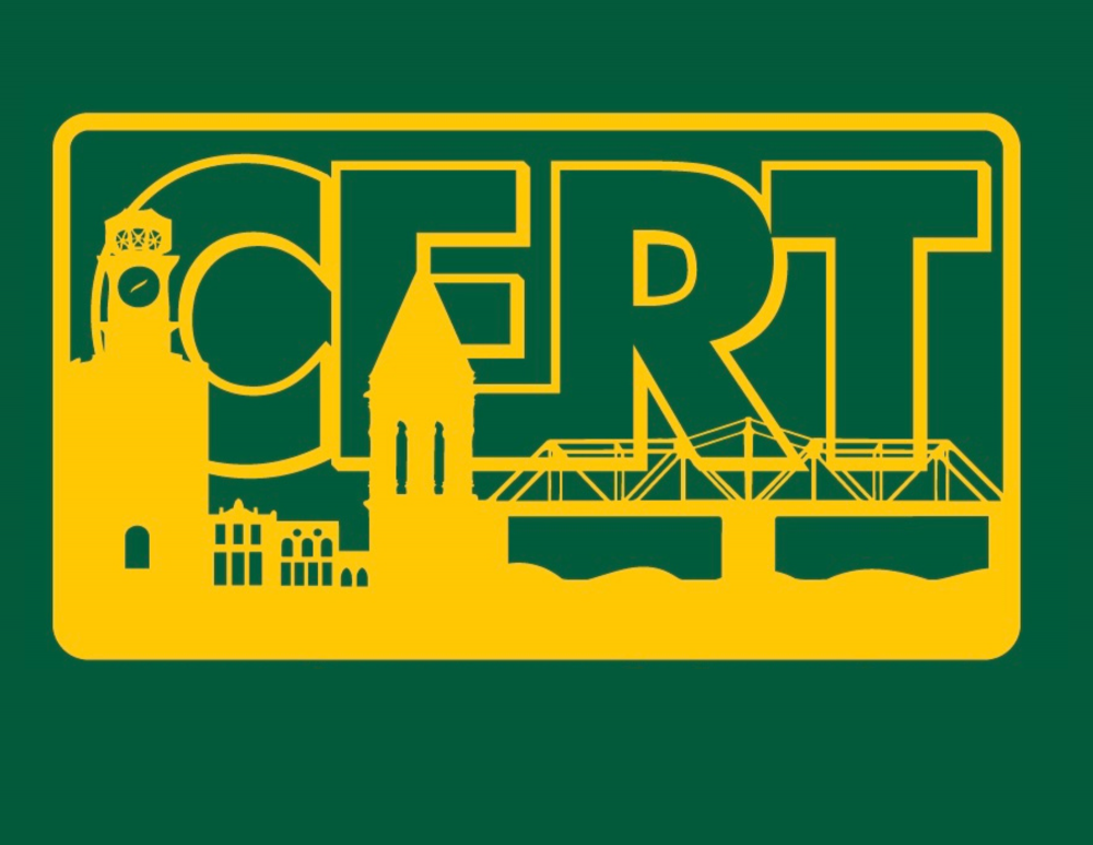 green and gold TEEN CERT logo